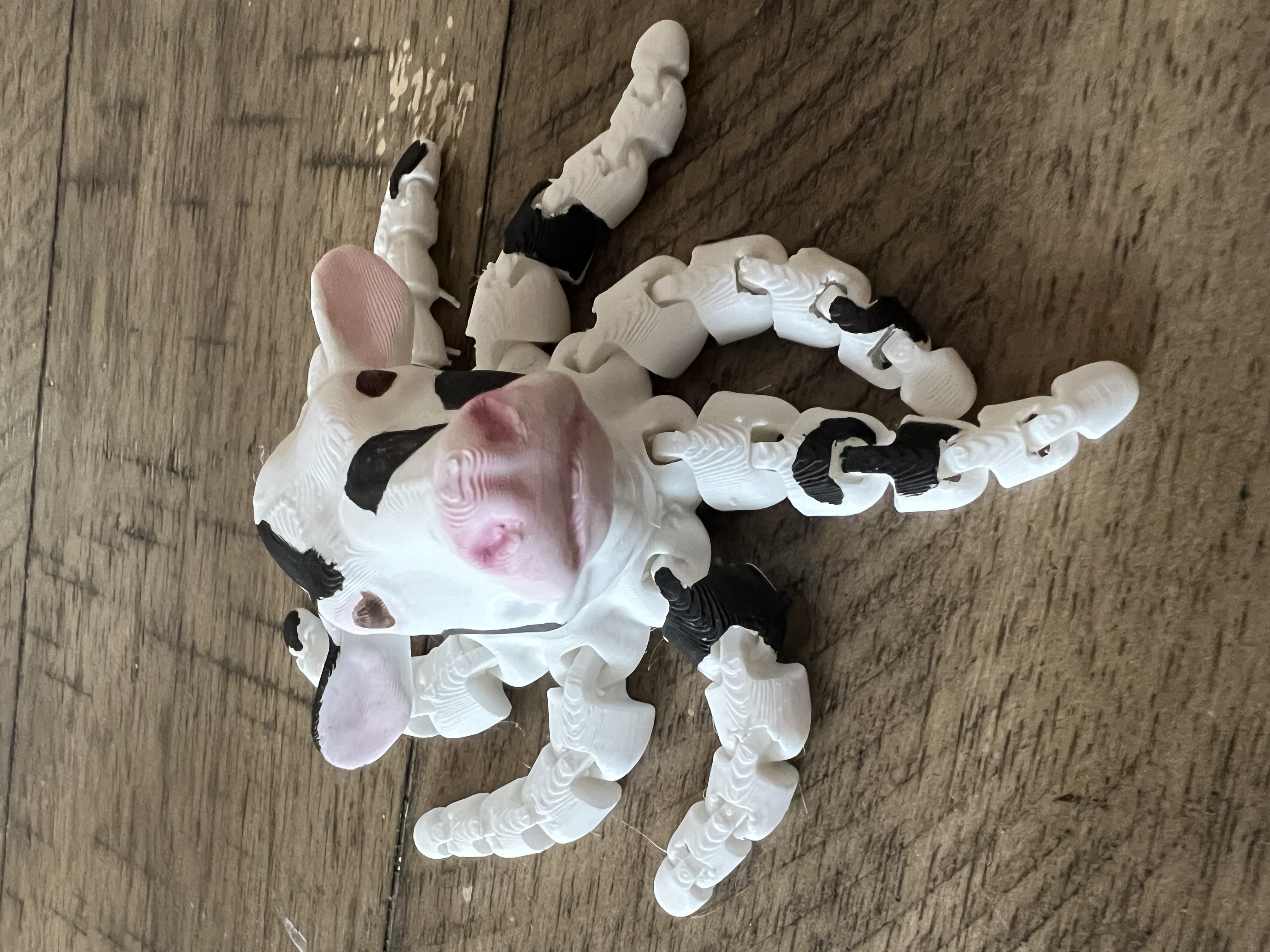 Cowtapus